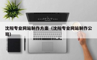 迪庆沈阳专业网站制作方案（沈阳专业网站制作公司）